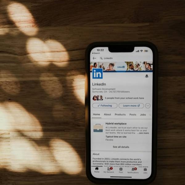 Freelance Web Developer